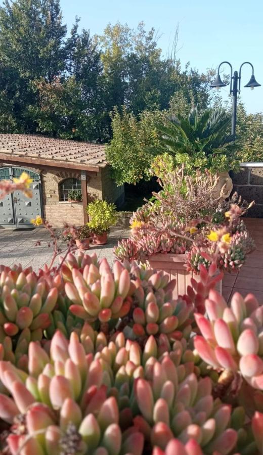 Bed and Breakfast La Casa Sull'Aia,Av Santo Stefano del Sole Екстер'єр фото